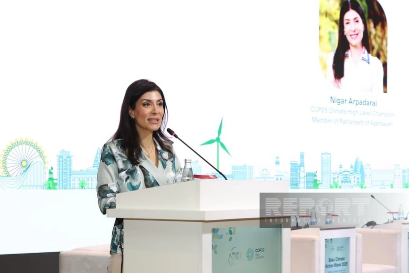 Nigar Arpadarai: Gənclərin enerjisi, ideyaları iqlim dəyişmələri ilə mübarizədə zəruridir