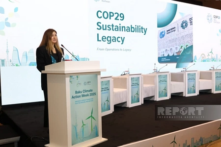 COP29 releases sustainability report setting new green standards
