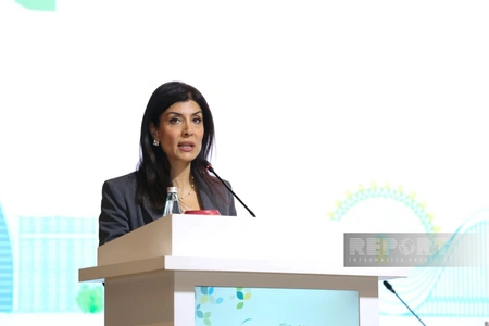 Nigar Arpadarai: Number of smart cities, villages should be increased