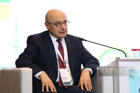 MFA official: Over 60 countries join Azerbaijan's sustainable cities initiative