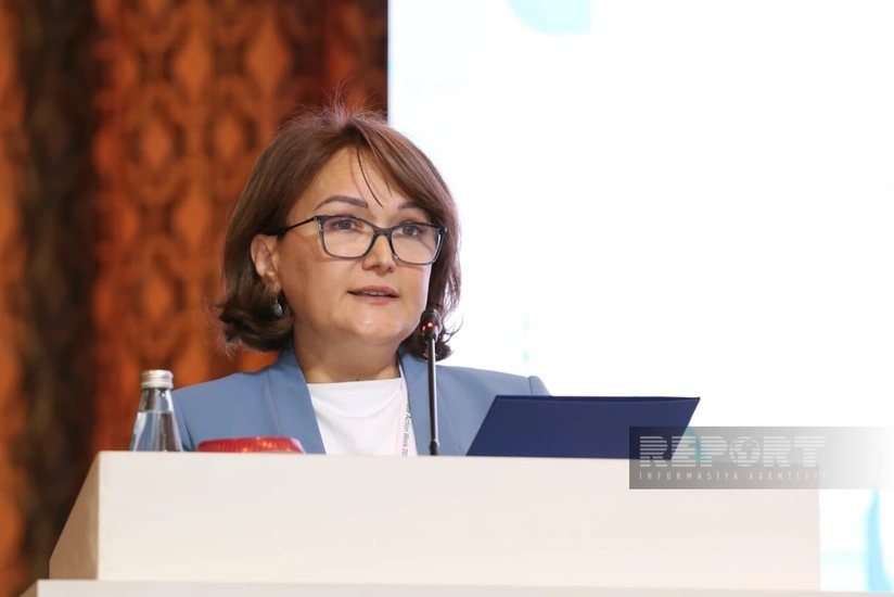 AZAL rəsmisi: Avrasiyada nəqliyyat emissiyaları 30 %-ə qədər arta bilər