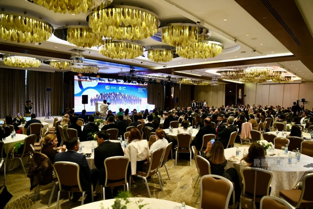 Azerbaijan committed to environmental friendliness, innovation in transport sector