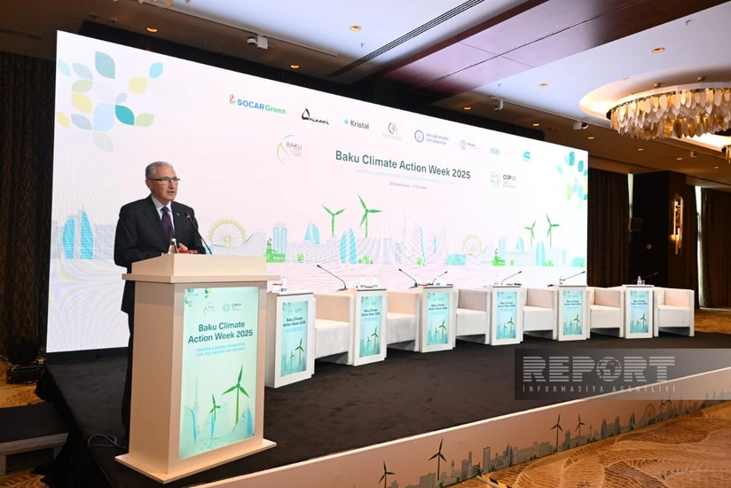 COP29-un Prezidenti: Qadınların bacarıqları və səsi qərarlara daxil ediləndə siyasət daha effektiv olur