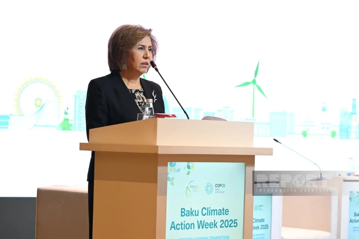 Bahar Muradova: Kəndlərdə qadınların yaşıl sahibkarlıq təşəbbüslərinə çıxışları yaxşılaşdırılmalıdır