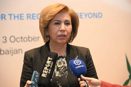 Climate change begins at home, says Azerbaijani official