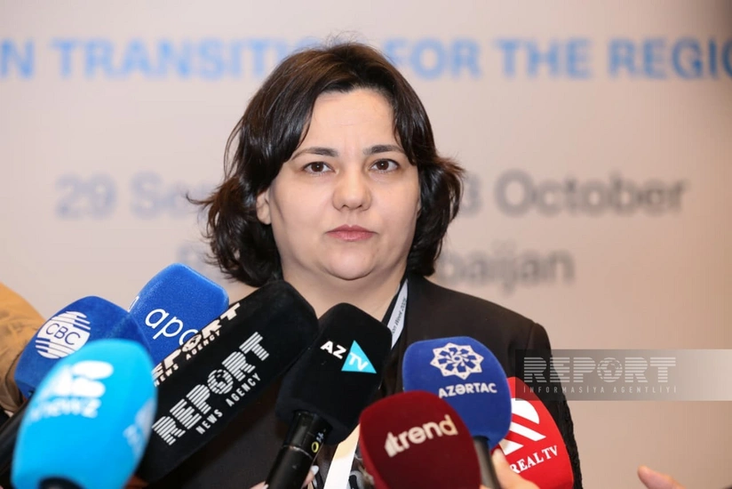 İlhamə Qədimova: Quraqlıqlar ərzaq təhlükəsizliyi və məhsuldarlığa ciddi təsir edən amilə çevrilib