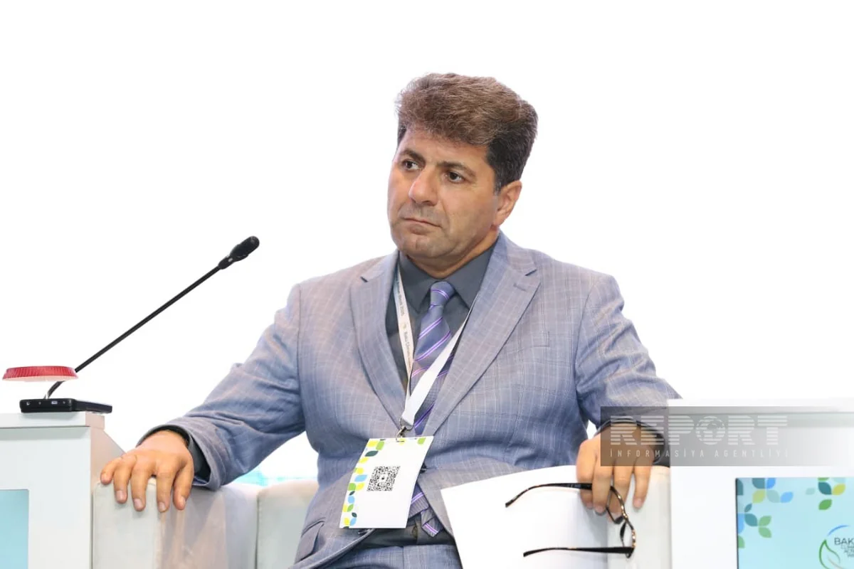 Expert: Strategy needed to tackle climate threats in Azerbaijan