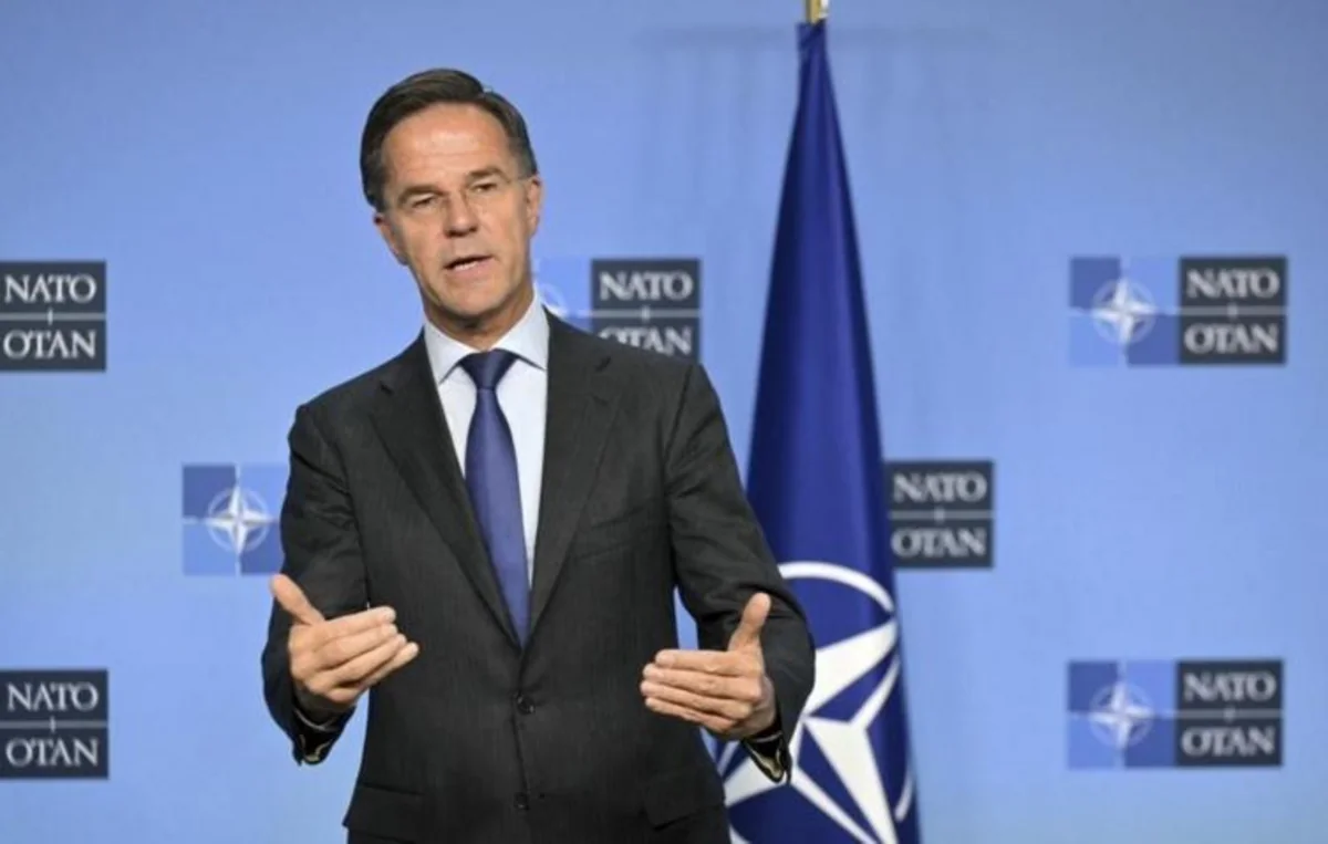 Rutte: Ukraine shares its combat experience with NATO