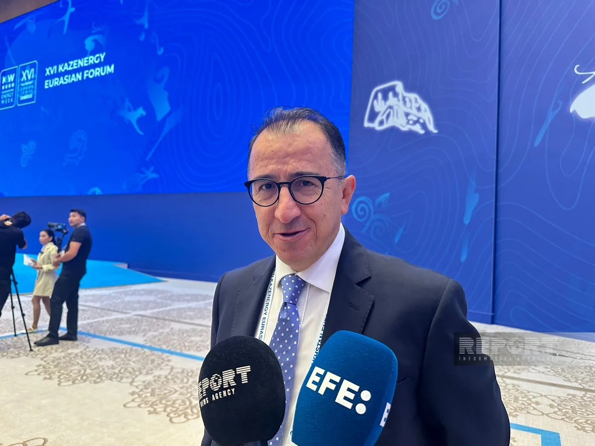 Ahmet Türkoglu: TPAO has high hopes for Safag-Asiman bloc