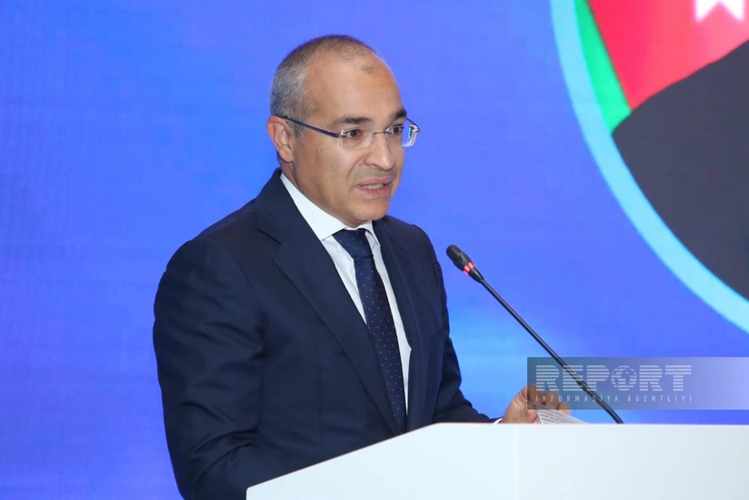 Mikayıl Cabbarov: Təbii inhisarlar mənfi anlayış deyil, əsas məsələ onların effektiv idarə olunmasıdır