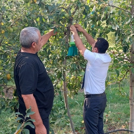 Azərbaycanın həmsərhəd bölgələrində zərərvericilərin geniş yayılmasının səbəbi açıqlanıb - RƏSMİ