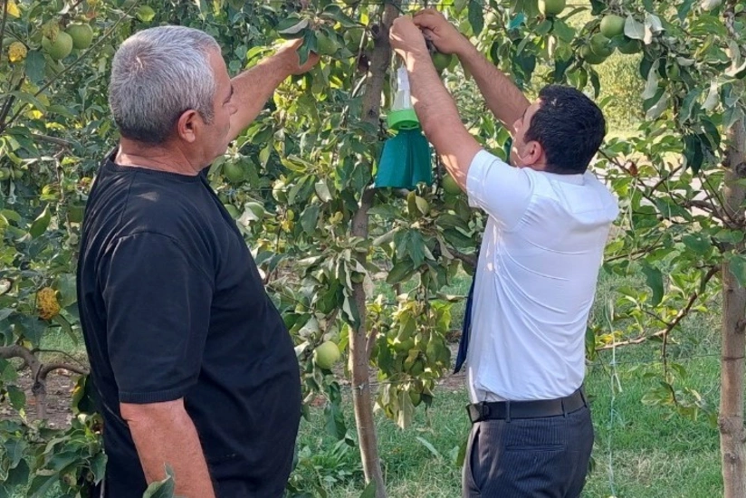 Azərbaycanın həmsərhəd bölgələrində zərərvericilərin geniş yayılmasının səbəbi açıqlanıb - RƏSMİ