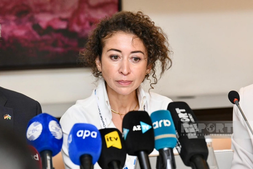 Narqis Vik: Almaniya ilə Azərbaycan su və aqrar sektorlarda birgə layihələri müzakirə edir