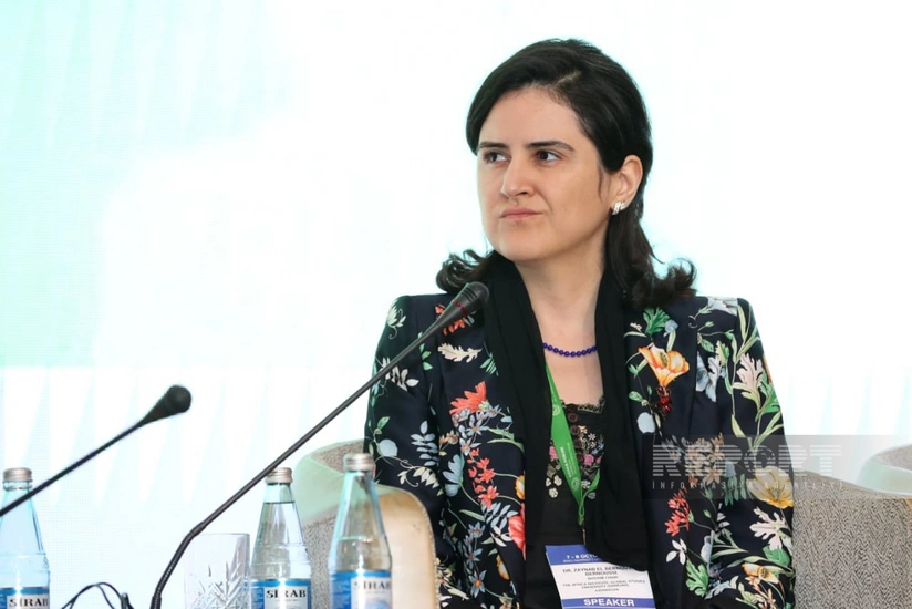 Mərakeş Universitetinin rəsmisi: Qlobal halal iqtisadiyyatı potensialının çox altındadır