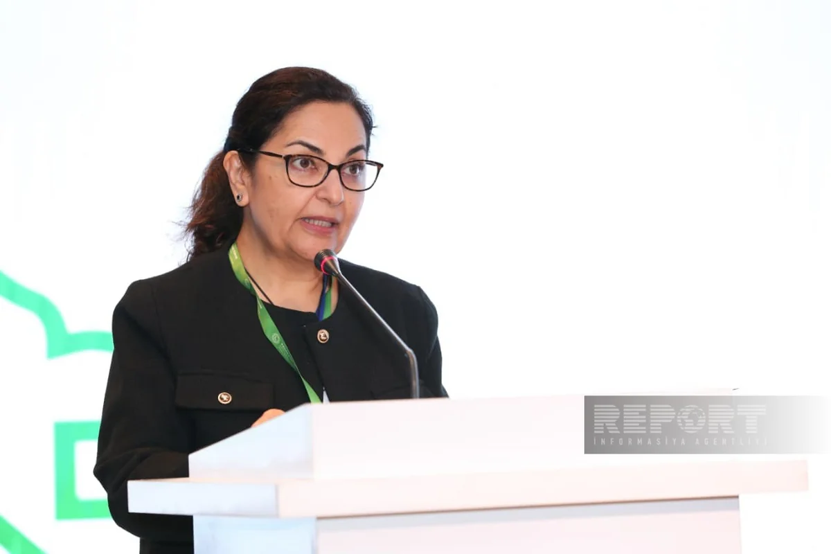 ADB: KOB-lar ekoloji dayanıqlılığın təmin edilməsi üçün əsas oyunçulardır