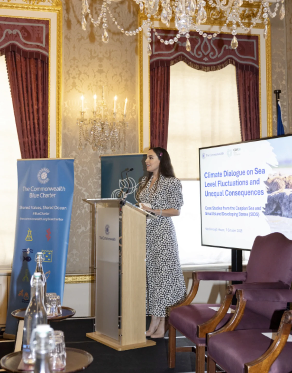 Vice-President of Heydar Aliyev Foundation Leyla Aliyeva attends Flagship Climate Dialogue in London