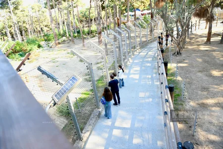 Burada ayılar qış yuxusuna getmir, su samurlarına hər il ad günü keçirilir – ZOOPARKDAN REPORTAJ