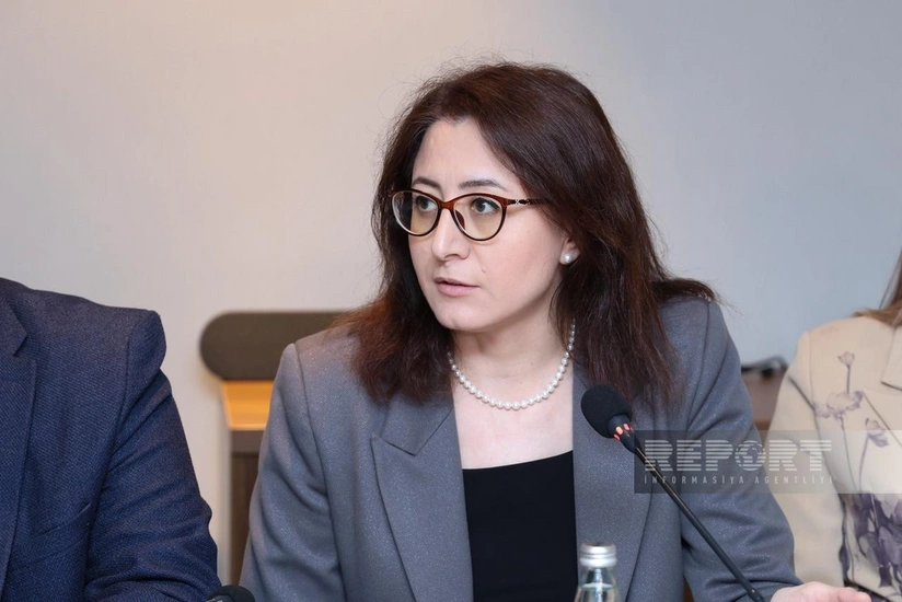 Nuriyyə Məmmədova: Psixiatriya və narkoloji müəssisələrdə kadr çatışmazlığı problemi hələ də aktualdır