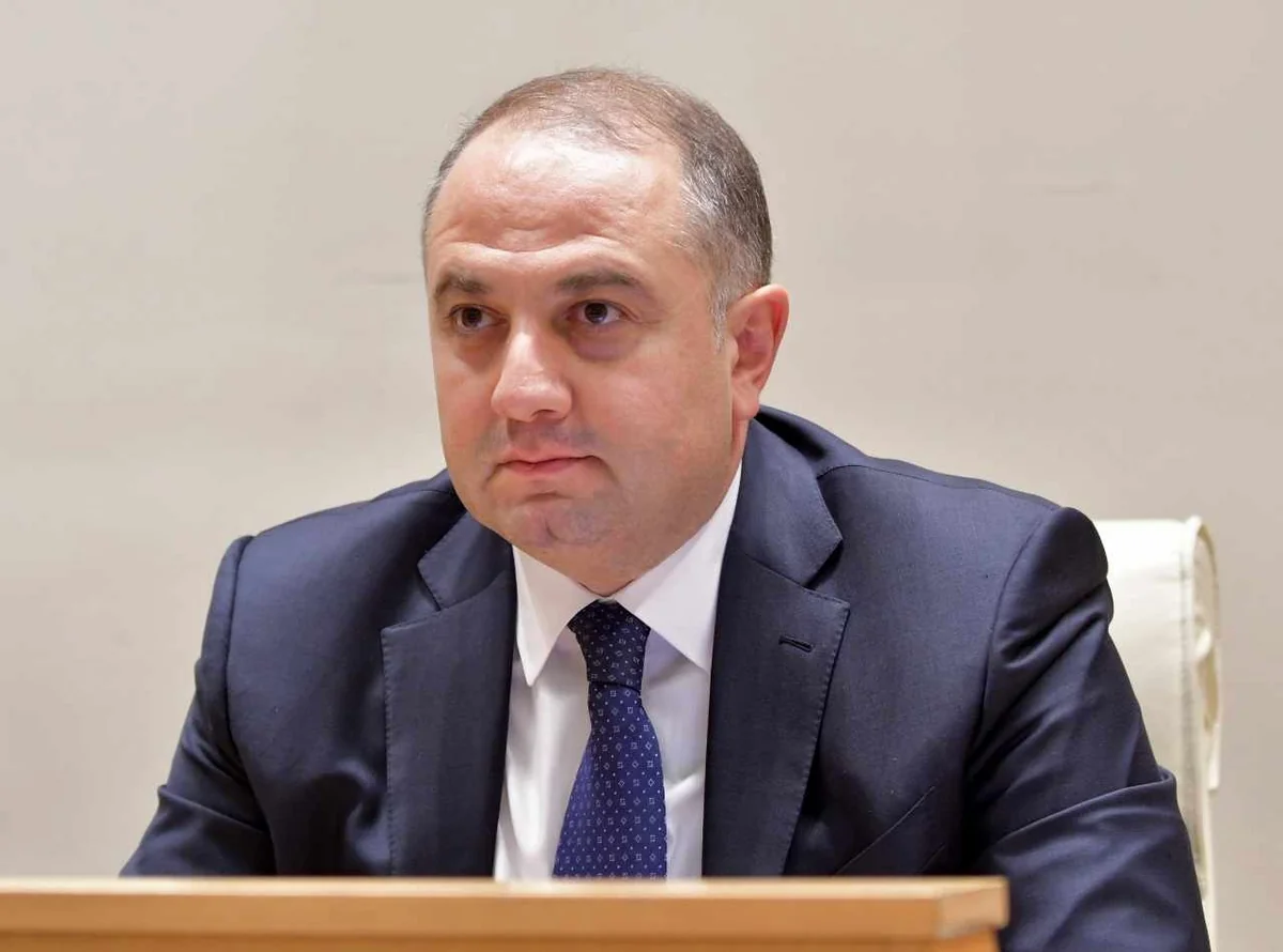 Georgian Defense Minister: Main mission is to preserve regional stability through joint efforts