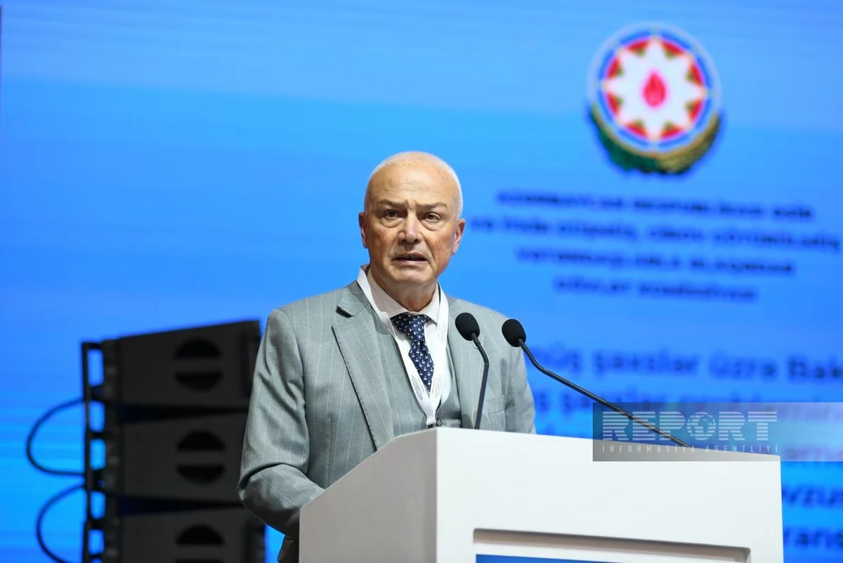 Italian expert calls for stronger international cooperation in search for missing persons