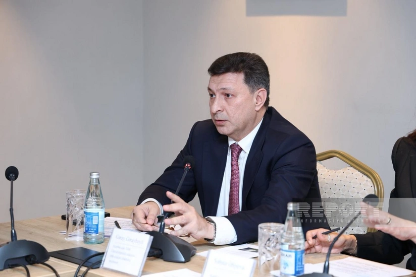 Gəray Gəraybəyli psixiatriya sahəsindəki problemlərin həlli yollarından danışıb