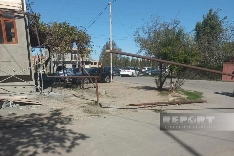 Güclü külək Gəncədə bir neçə ağacı aşırıb