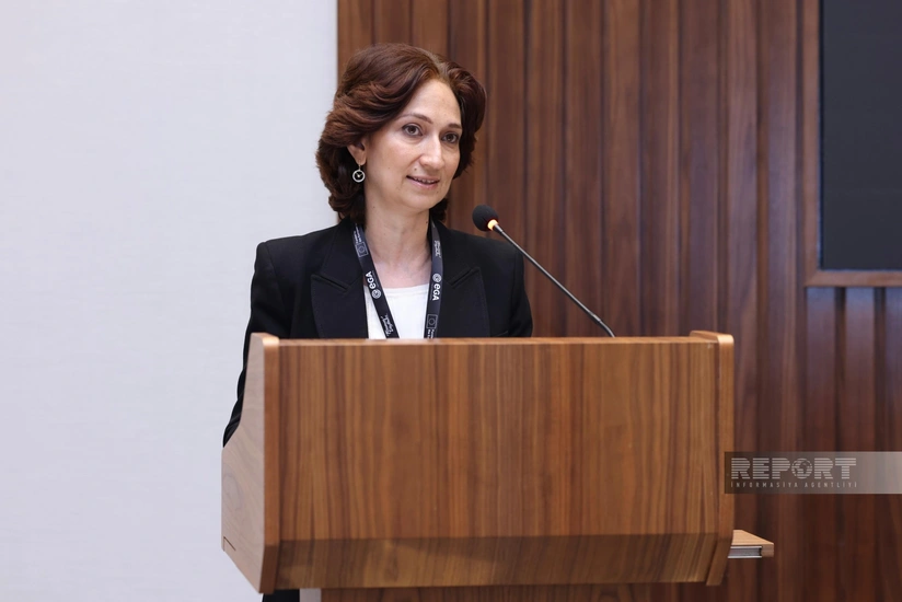 Представитель ЕС: Женщины недостаточно представлены в секторе кибербезопасности
