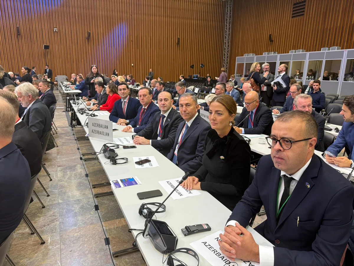 NATO PA-nın hesabatlarında Azərbaycanla bağlı müddəalar qeyd olunub