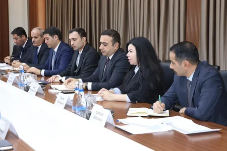 Naxçıvan iqtisadiyyatının artım prioritetləri müzakirə edilib