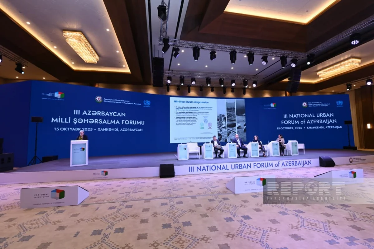 Şərqi Zəngəzurda ilk taunhauslar və yeni memarlıq üslubunda məktəblər yaranacaq