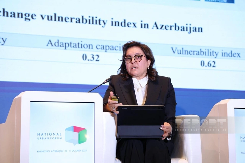 Umayra Tağıyeva: Azərbaycanda intensiv yağıntı hadisələrinin sayı 6 dəfə çoxalıb