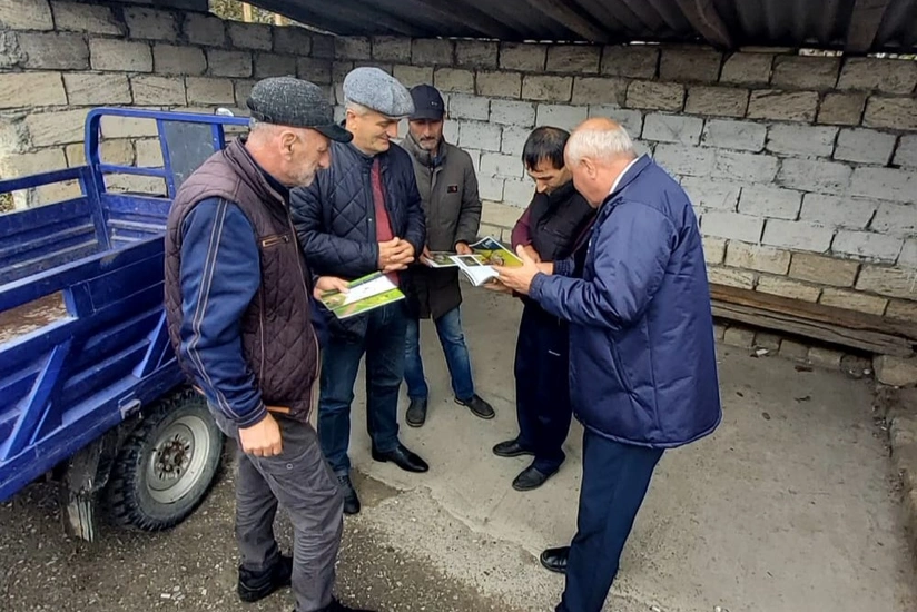 Xaçmazda qəhvəyi mərmər bağacığına qarşı tələlər asılıb