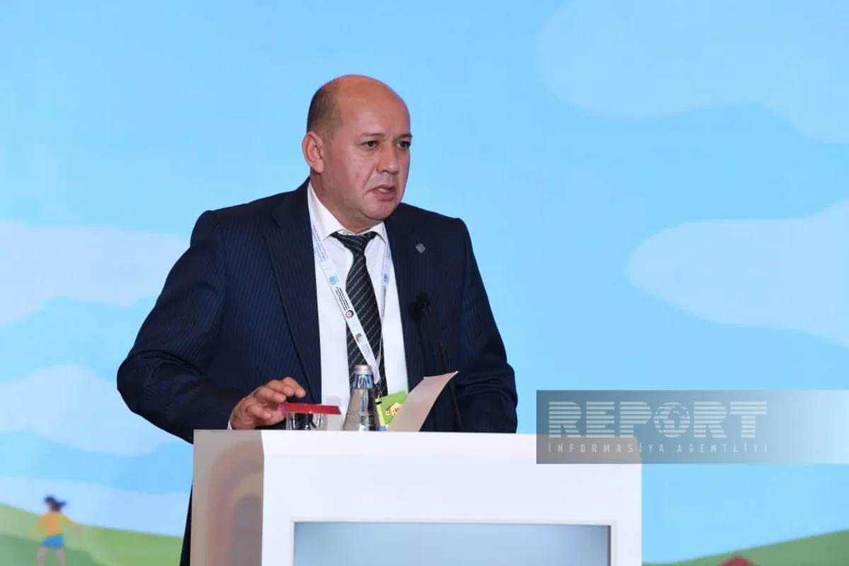 Deputy secretary general of ECO: Integrated transport system needed to unlock potential of Middle Corridor