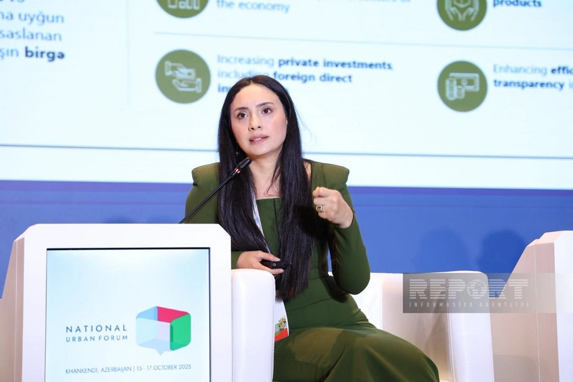 Azərbaycanda PPP sahəsində yeni institutların yaradılması nəzərdən keçirilir