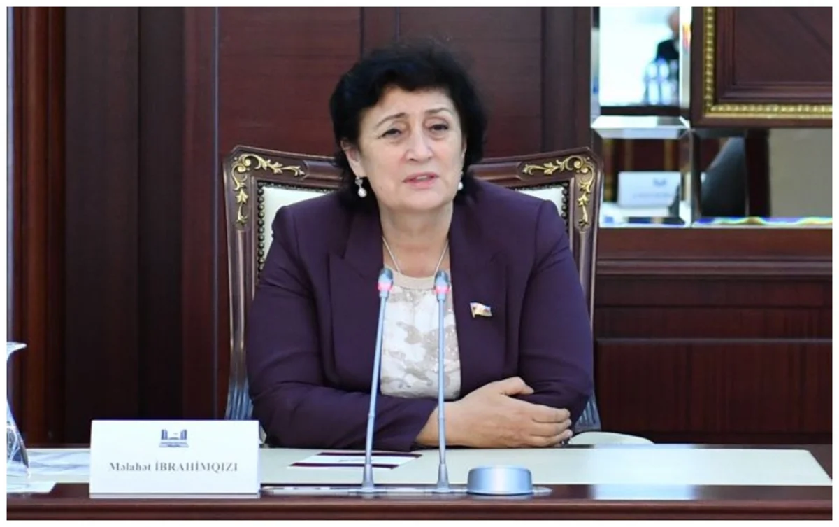 Məlahət İbrahimqızı: Dövlət başçısına xəyanət edən hər kəs, eləcə də Ramiz Mehdiyev qanun qarşısında cavab verəcək