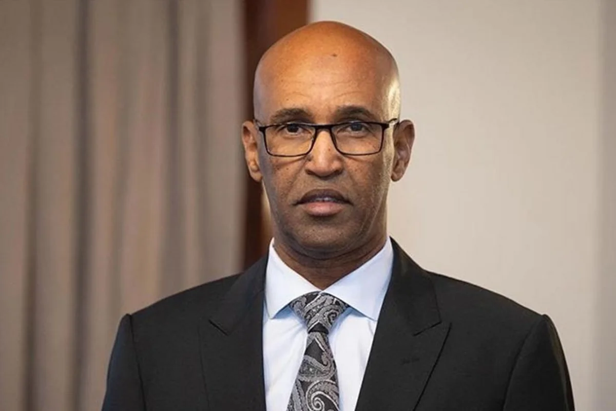 Ambassador: Somalia and Azerbaijan to introduce full visa-free regime