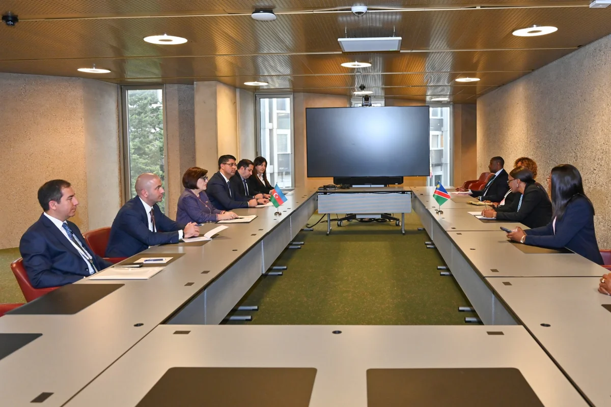 Sahiba Gafarova meets with Speakers of Parliaments of Namibia and Bosnia and Herzegovina in Geneva