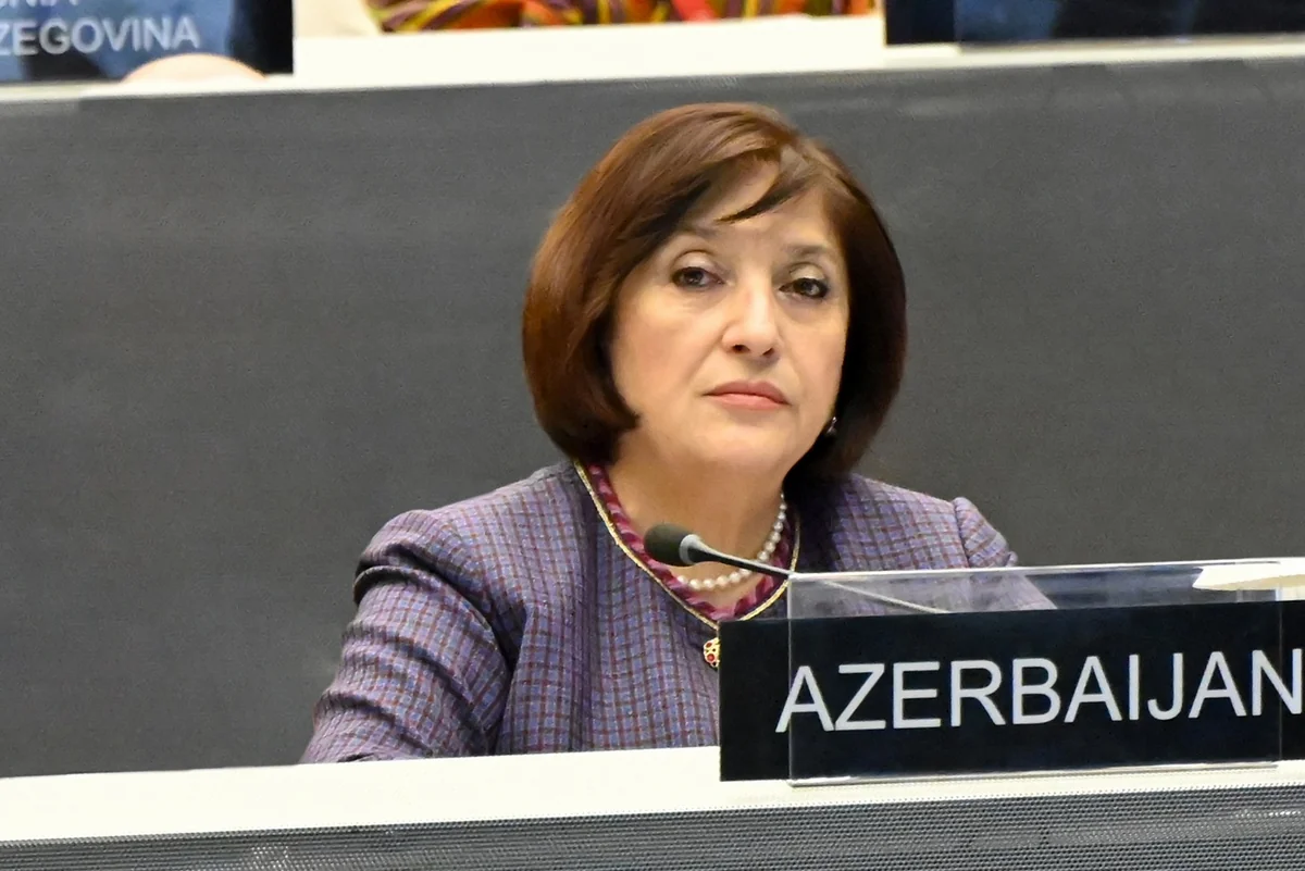 Speaker: Armenia planted landmines across occupied Azerbaijani territories