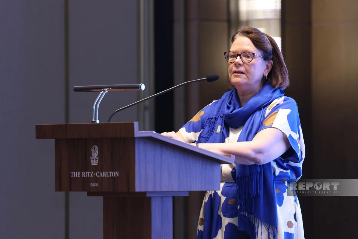 Finnish envoy: South Caucasus together with  Türkiye and Central Asia becoming important market