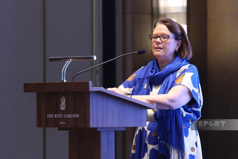 Finnish envoy: South Caucasus together with Türkiye and Central Asia becoming important market