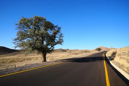 Naxçıvanda bir sıra kənddaxili yollar yenidən qurularaq istifadəyə verilib