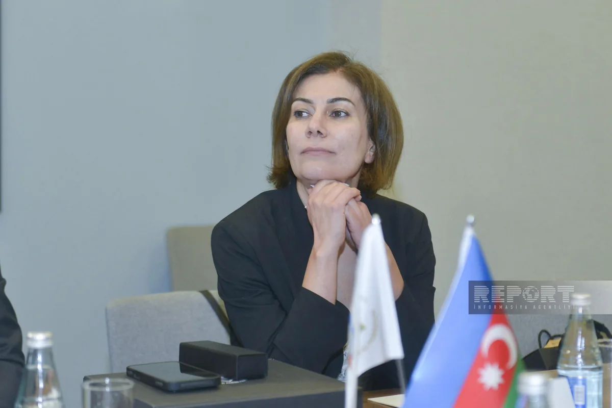 İlahə Qədimova: Türkdilli ölkələrin idman əlaqələrinin inkişafı naminə işlər aparılacaq