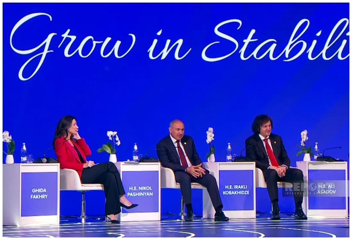 Nikol Pashinyan: Fates of South Caucasus countries interconnected to certain extent