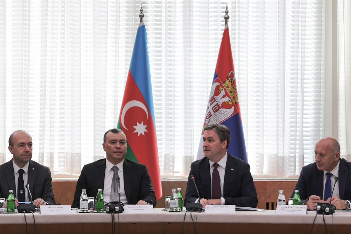 Сахиль Бабаев: Азербайджан с 2024 года поставил в Сербию 300 млн кубометров газа
