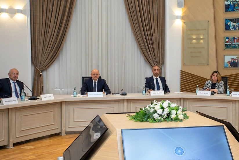 Azərbaycan ilə Çin yaşıl enerjinin istehsalı və ixracını müzakirə edib