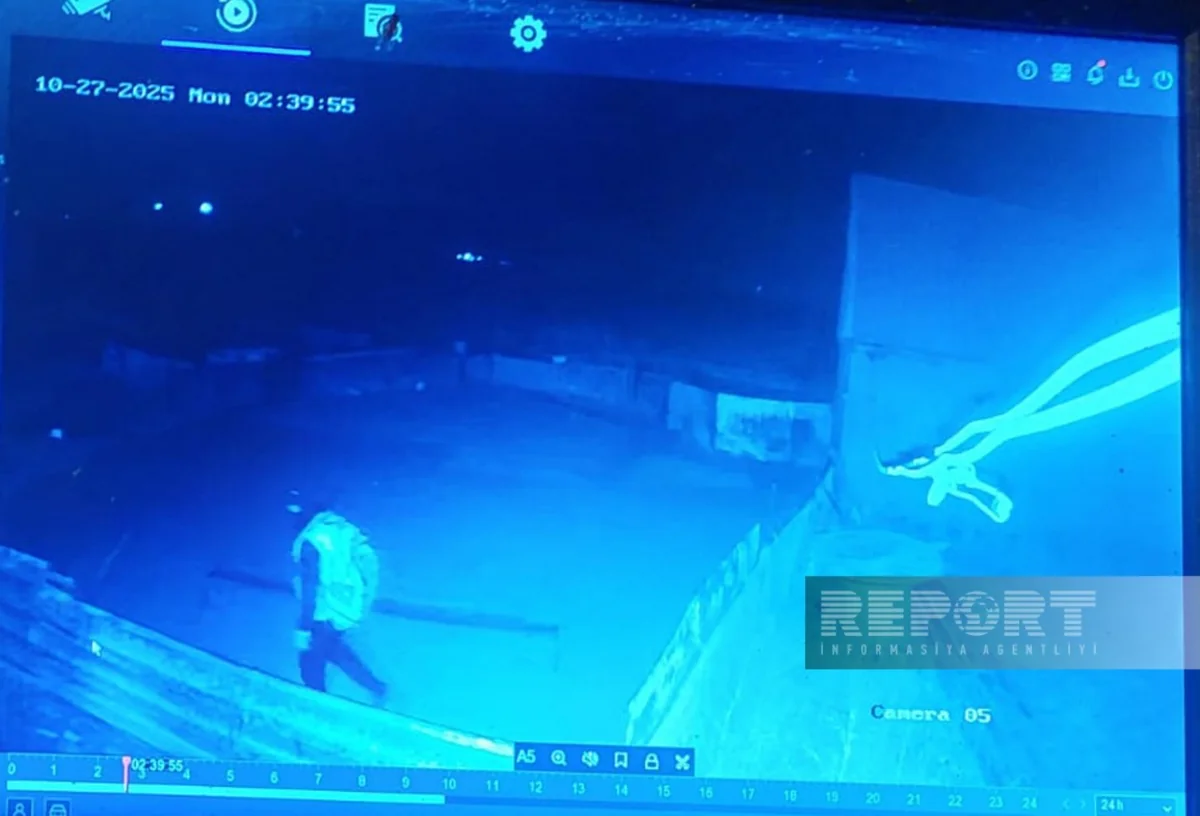 Göygöldə fermadan heyvanların oğurlanması ilə bağlı cinayət işi açılıb - YENİLƏNİB