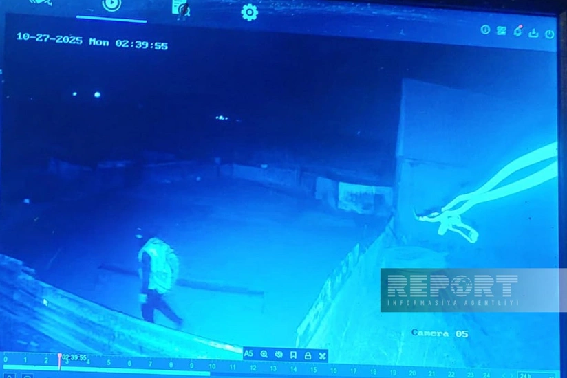 В Гёйгёле возбудили уголовное дело по факту кражи скота