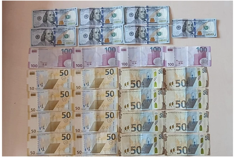 Naxçıvanda evdən oğurluq etməkdə şübhəli bilinən qadın saxlanılıb