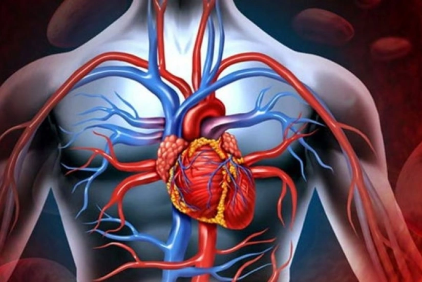 Ürək-damar xəstəlikləri üzrə dərmanlar icbari tibbi sığorta hesabına qarşılanacaq