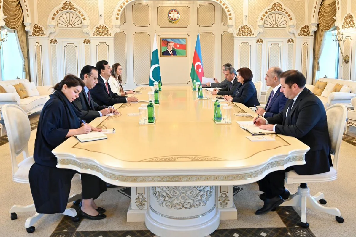 Sahibə Qafarova Pakistan Senatının sədri ilə görüşüb